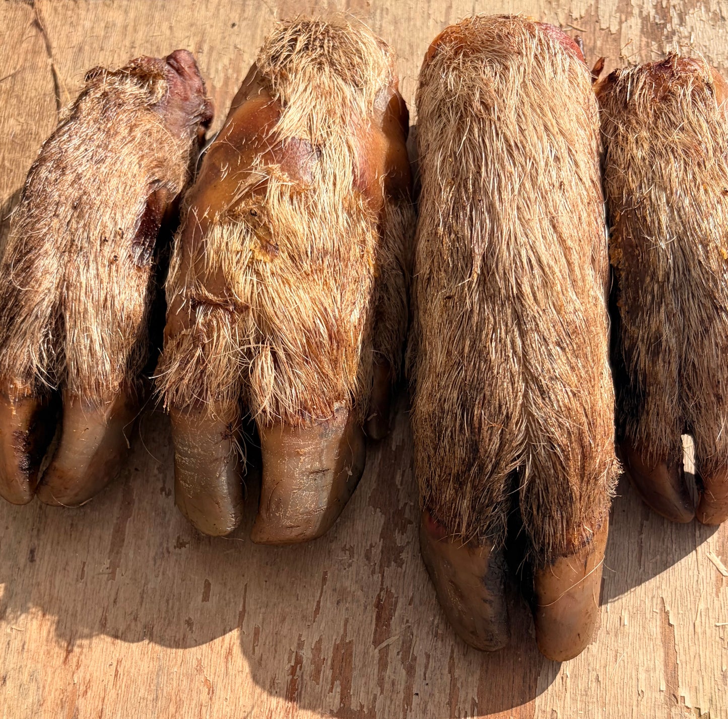 Natural Sheep Hoof Chew