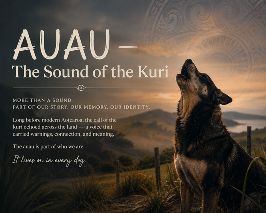 Auau — The Sound of the Kurī