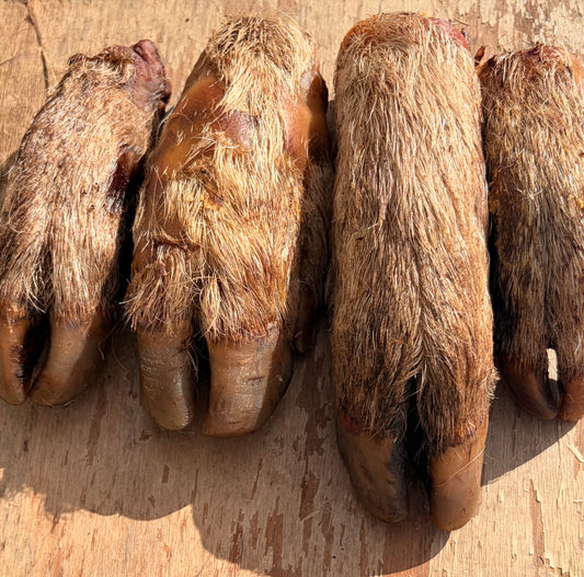 Natural Sheep Hoof Chew