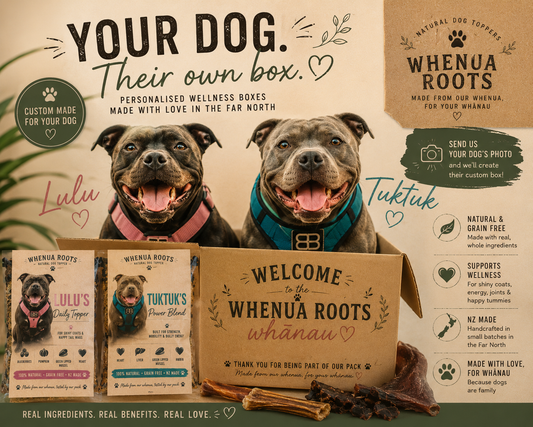 Personalised Pack Box 🐾