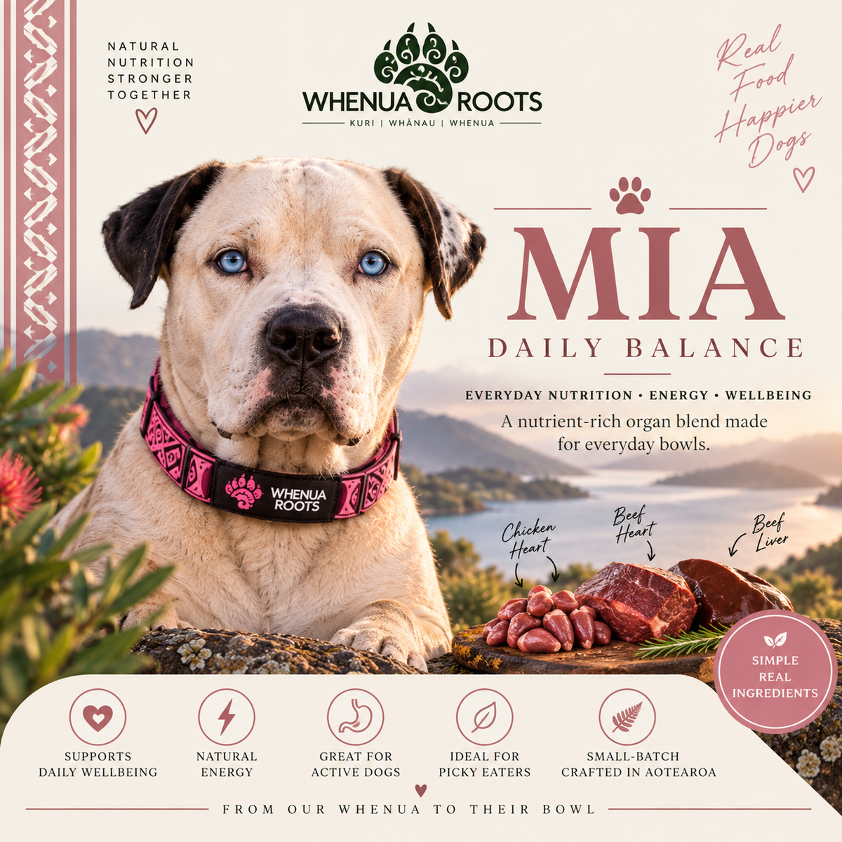 MIA | Daily Balance Dog Topper