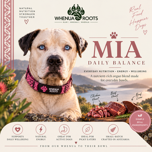 MIA | Daily Balance Dog Topper